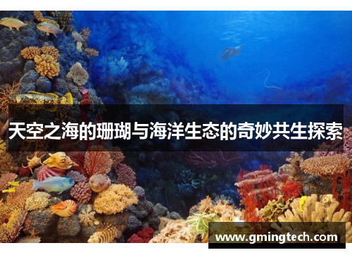 天空之海的珊瑚与海洋生态的奇妙共生探索