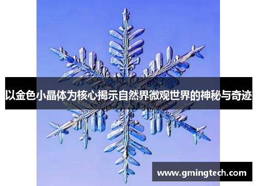 以金色小晶体为核心揭示自然界微观世界的神秘与奇迹 以金色小晶体为核心揭示自然界微观世界的神秘与奇迹