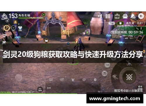 剑灵20级狗粮获取攻略与快速升级方法分享